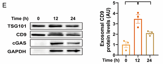 Zhou Liyan,et al-1.png