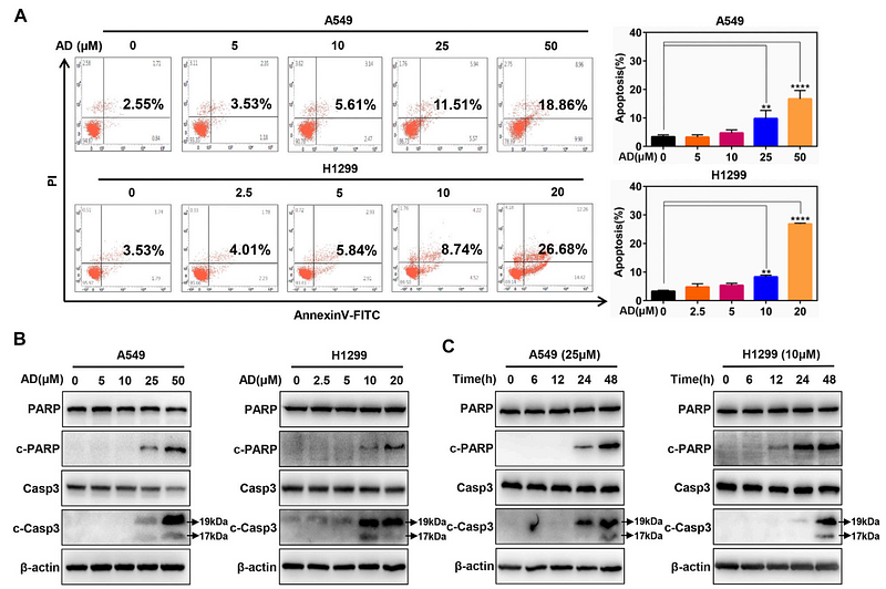 33995110 EM21002.png