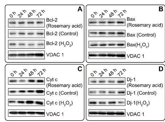 Ma Yunhao,et al-2.png