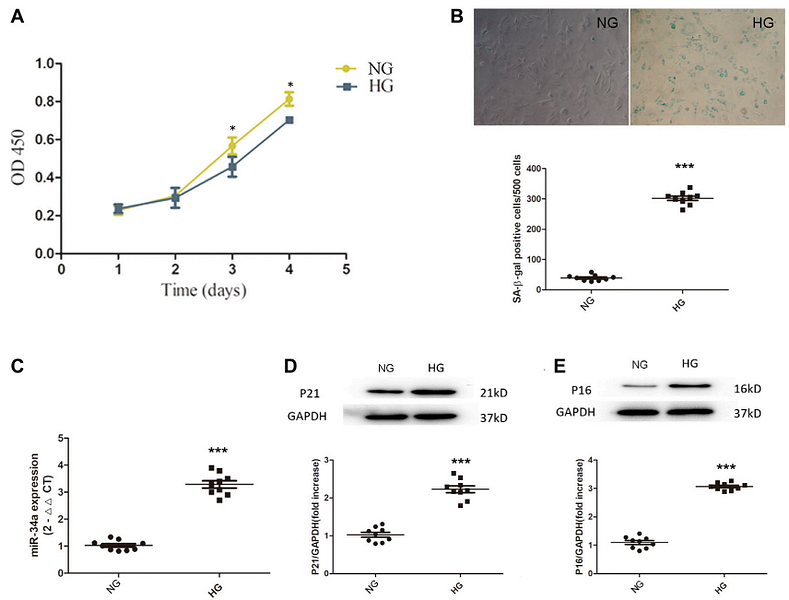 34177568 ET1608-62.png