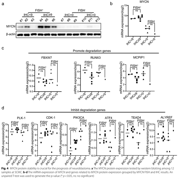 35820898 M1210-5.png