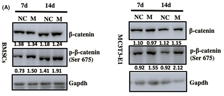 36222334 ET1601-5.png