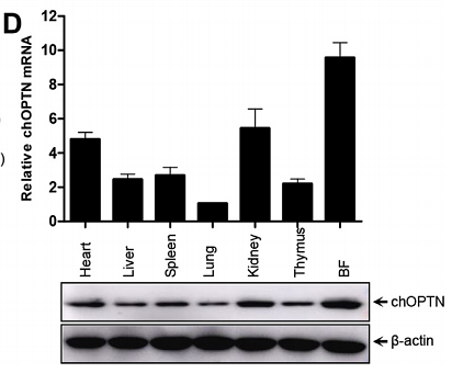 33357711 HA722023.png