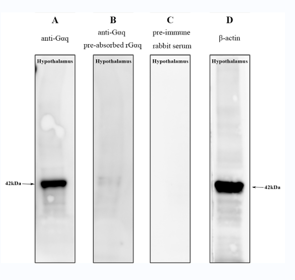 36437928 EM21002.png