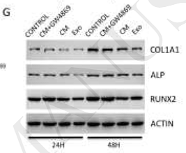 31247478 EM21002.png