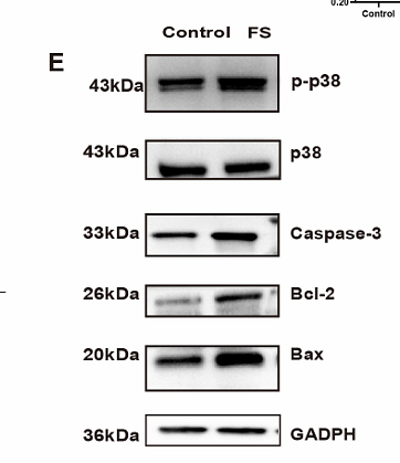 Li Xinhao,et al-3.png