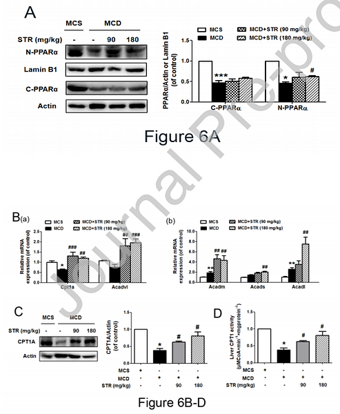 32702591 HA722023.png