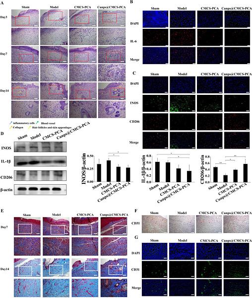 37361387 M1511-8.jpg