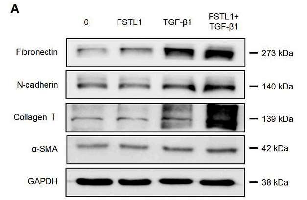 35483234 ET1607-53.png