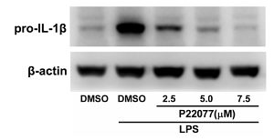 32516131 EM21002.png