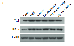 30226834 R1207-1.png