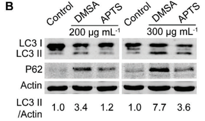 32832347 EM21002.png