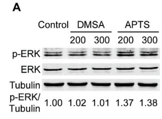 32832347 ET1602-4.png