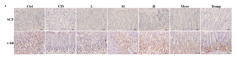 36806345 ET1609-60.png