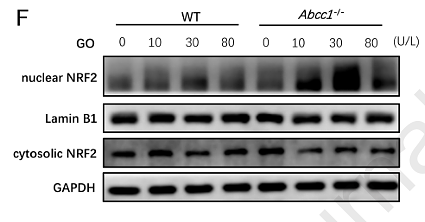 Liu Jing,et al-2.png