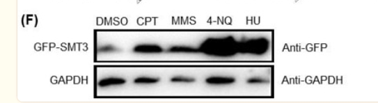 36675915 HA721136.png