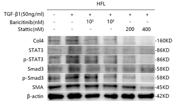 37194022 EM21002.png