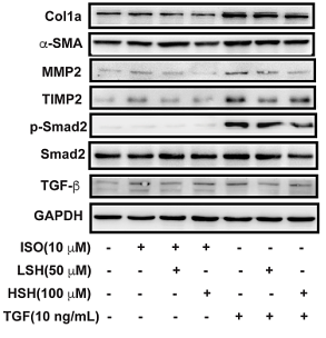 36610170 ET1607-53.png