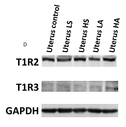 32219957 ET1601-4.png