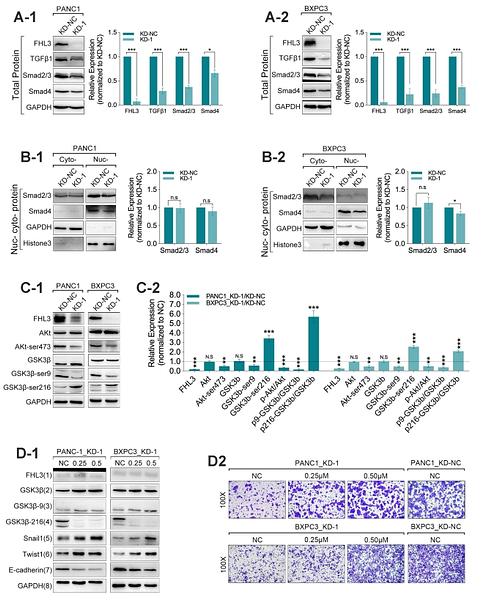 31935687 EM30605.jpg