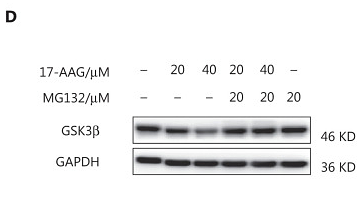 34403222 ET1601-4.png