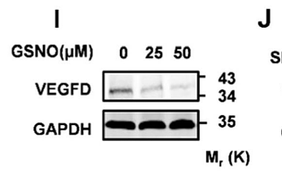 35941690 ET1601-4.png